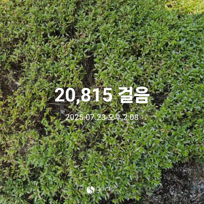 피서도 하고 이만보 걷고 왔어요.