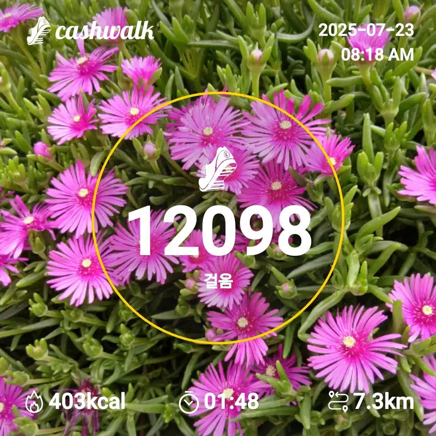 행복