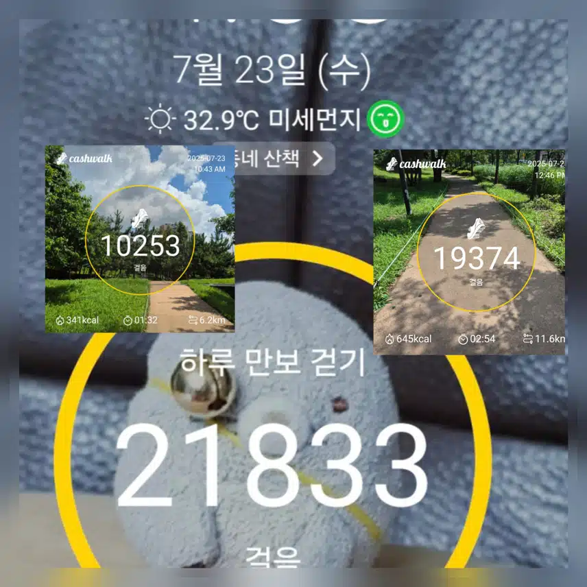 오늘..무슨날인가요~ 목표만큼 걷기운동 완료 ~🤣