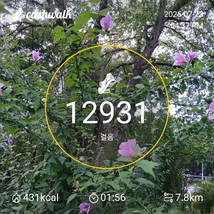 하루6천보걷기 