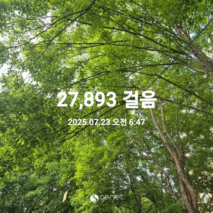 2025년 7월 23일 수요일 걷기 