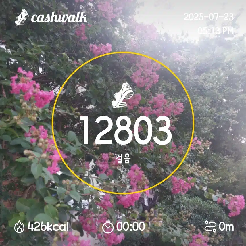 8일차 