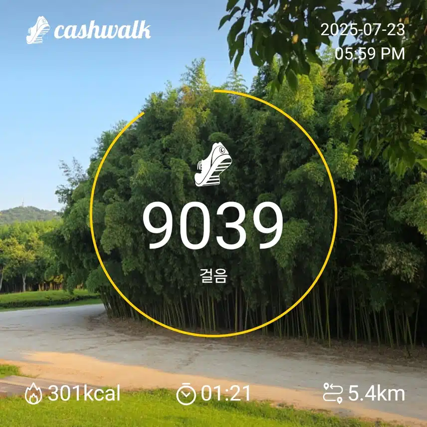 인증
