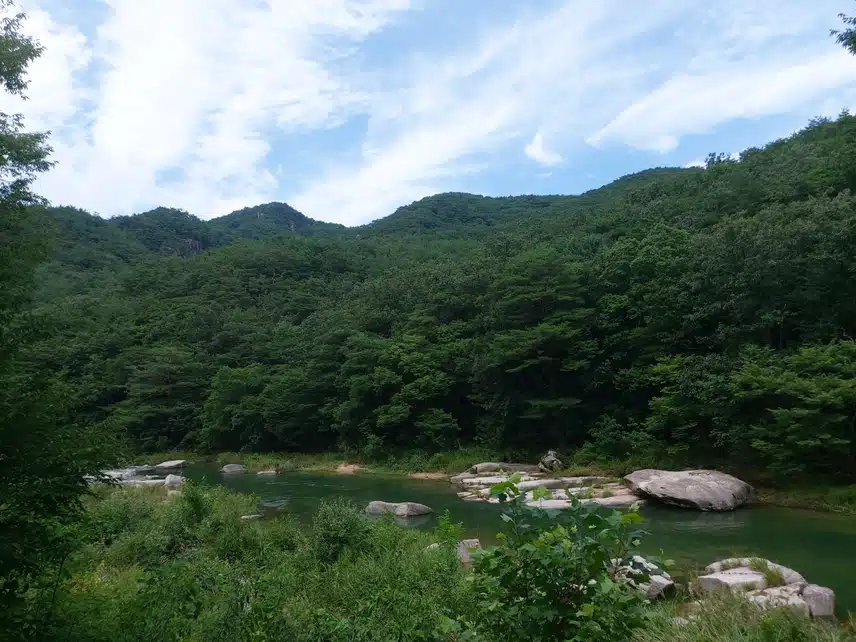 덥지만 쾌청한 하늘...