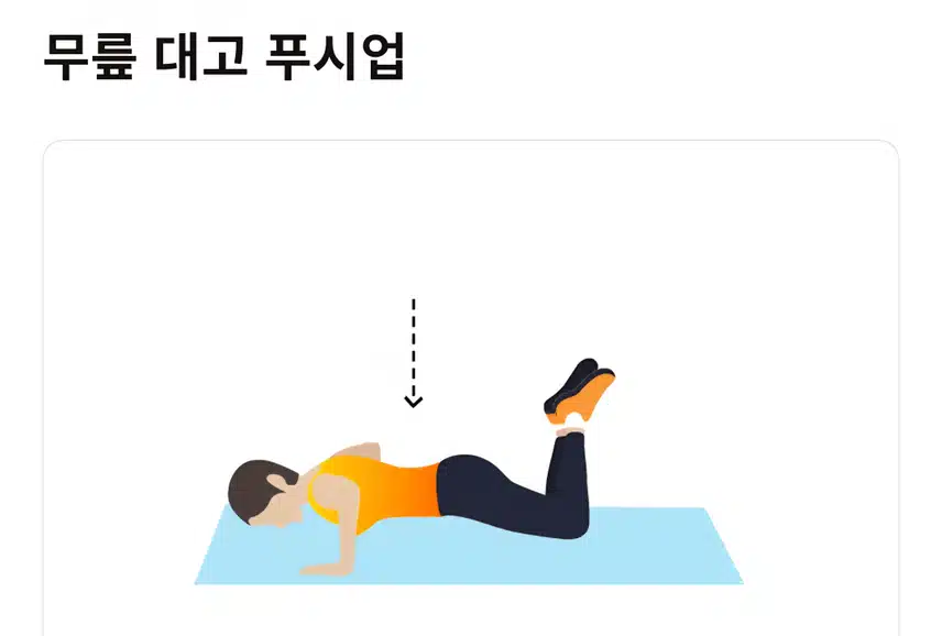 칼로리 소모 홈트🏋‍♀️