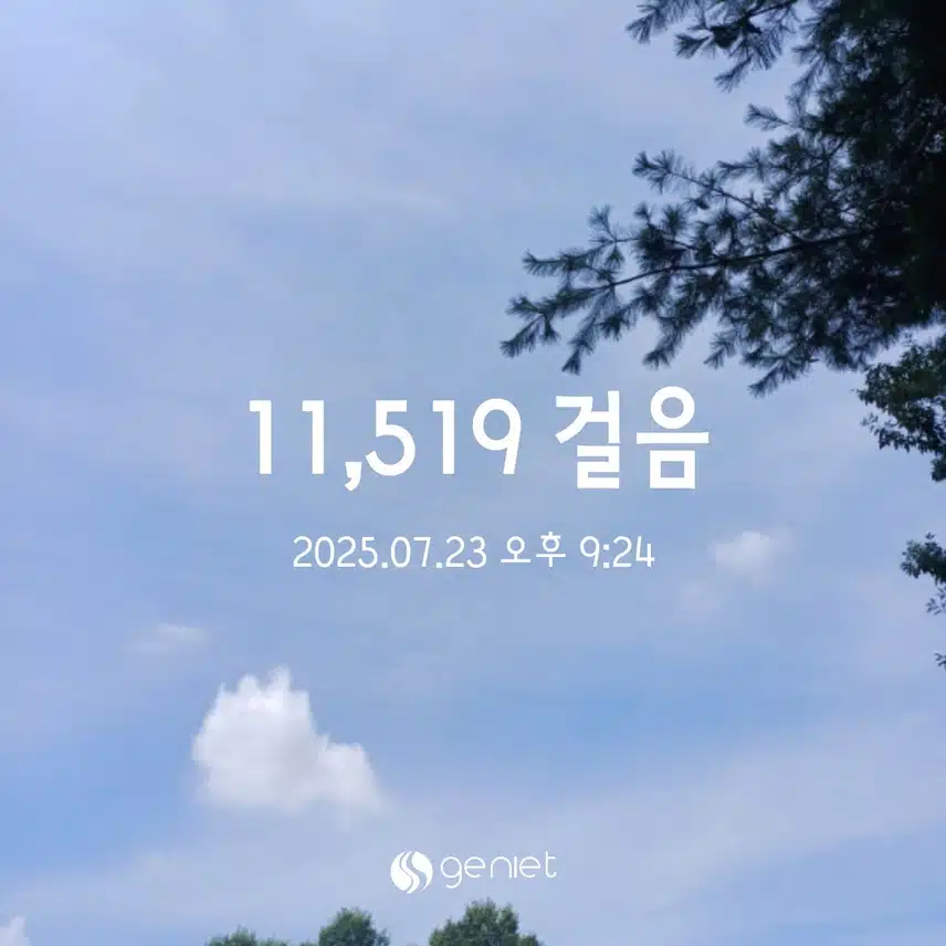 수욜 걸음 