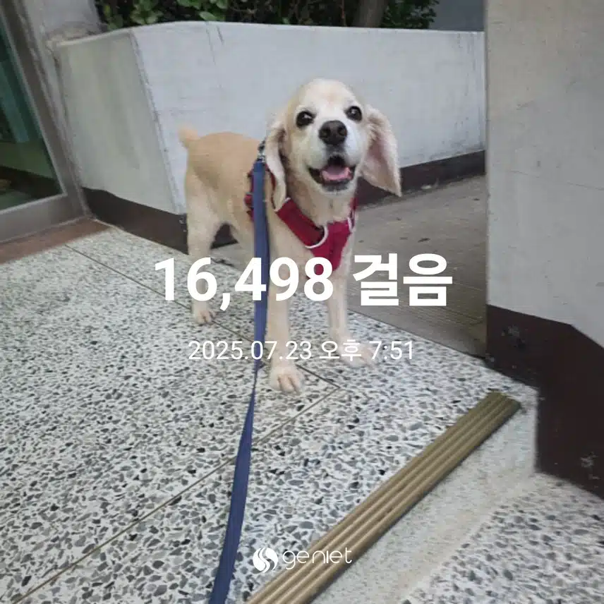 수요일 마무리