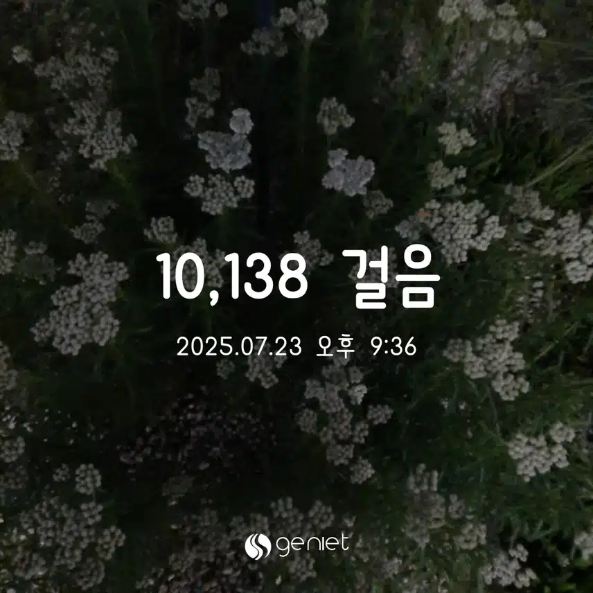 수 만보완료