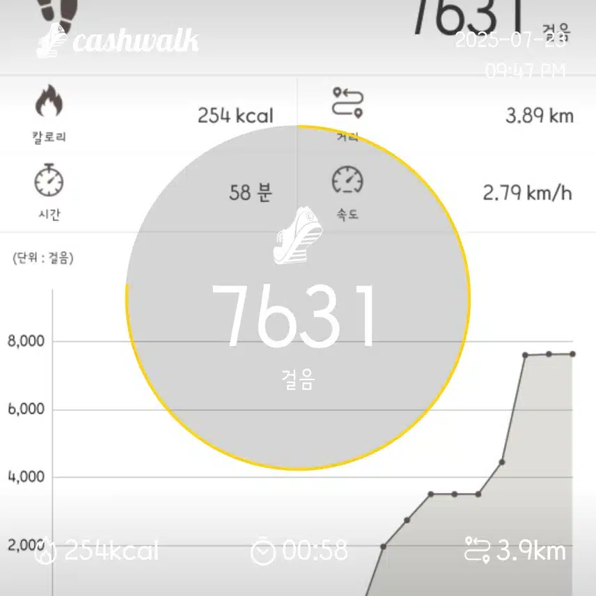 43기 13일차 인증