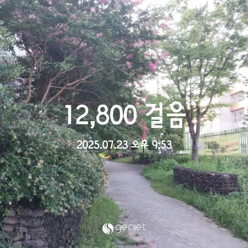 만보걷기 