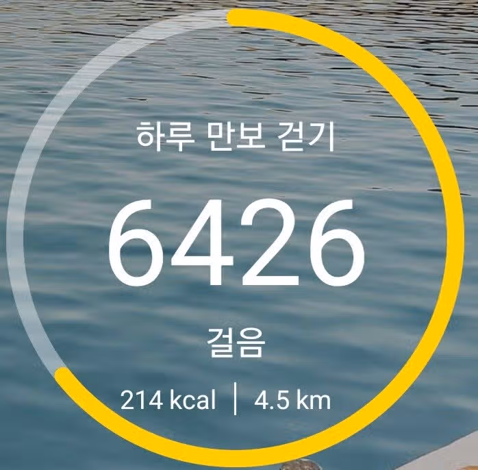 미션완료