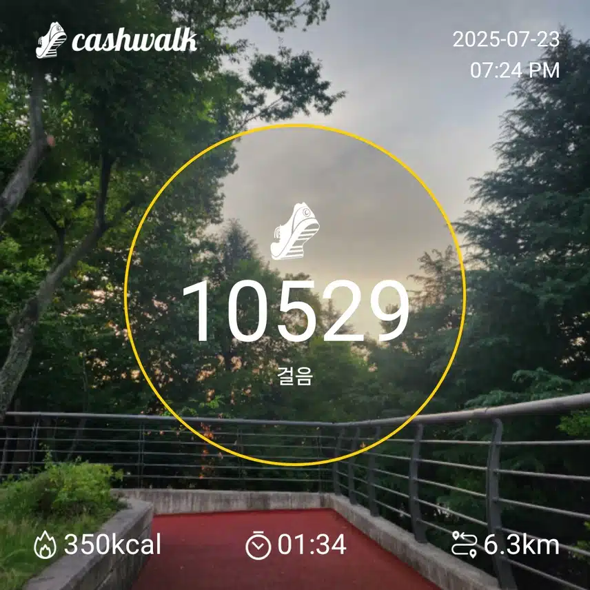 인증