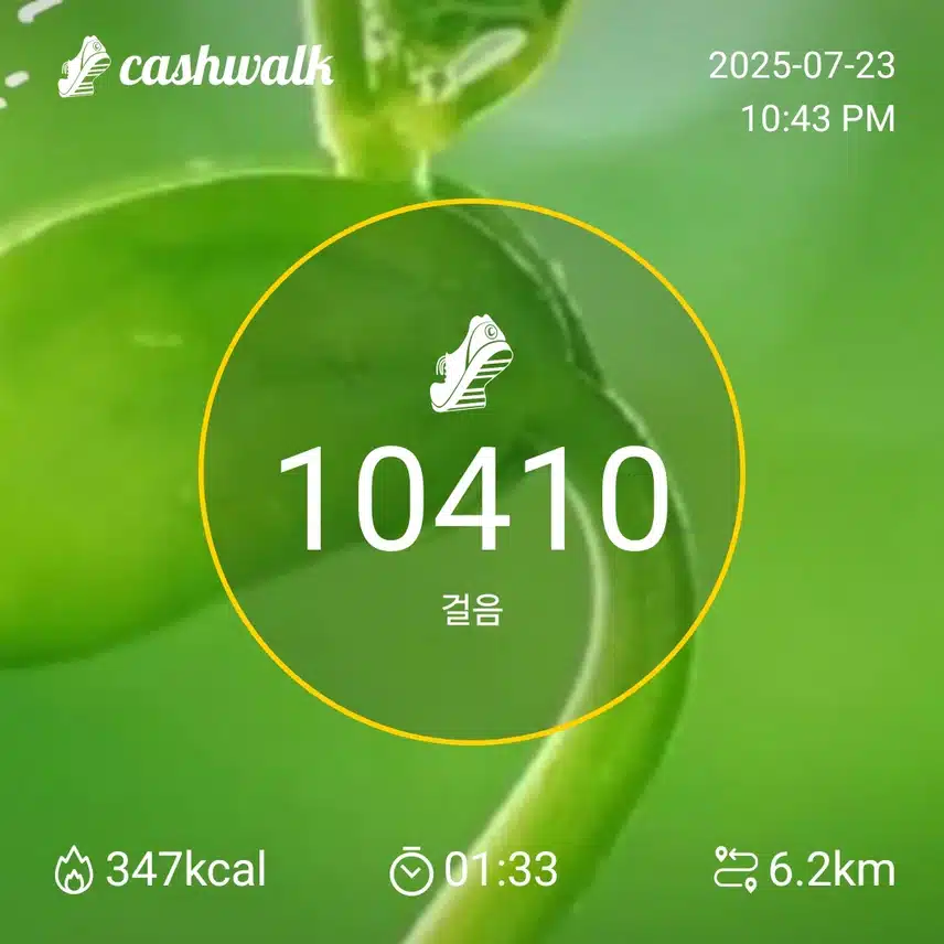 오늘도. 많이 덥네요..매미 소리가 요란합니다 만보 달성하고 모늘 일정 마무리 합니다 ㅂᆢㄱㄴ안한 밤 되세요