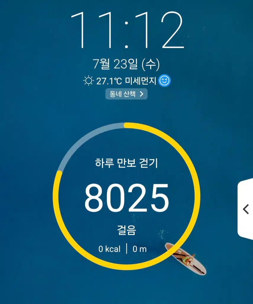 8천보 걷기