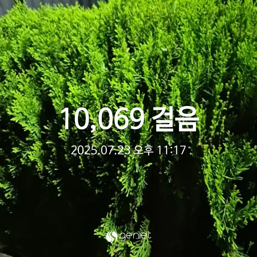 수요일 만보걷기