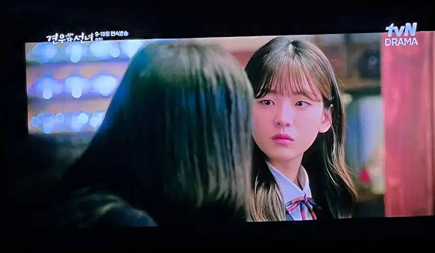 셋은 어떻게 얽혀서 이렇게 서로를 못잡아 먹을까요