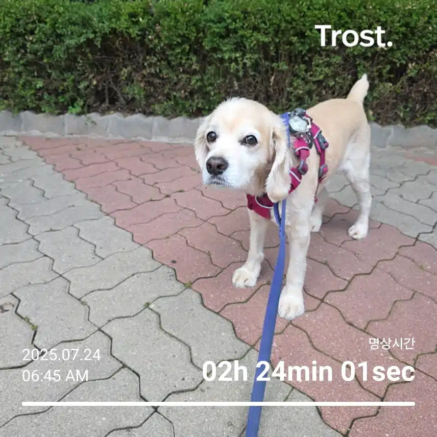 목요일 아침 