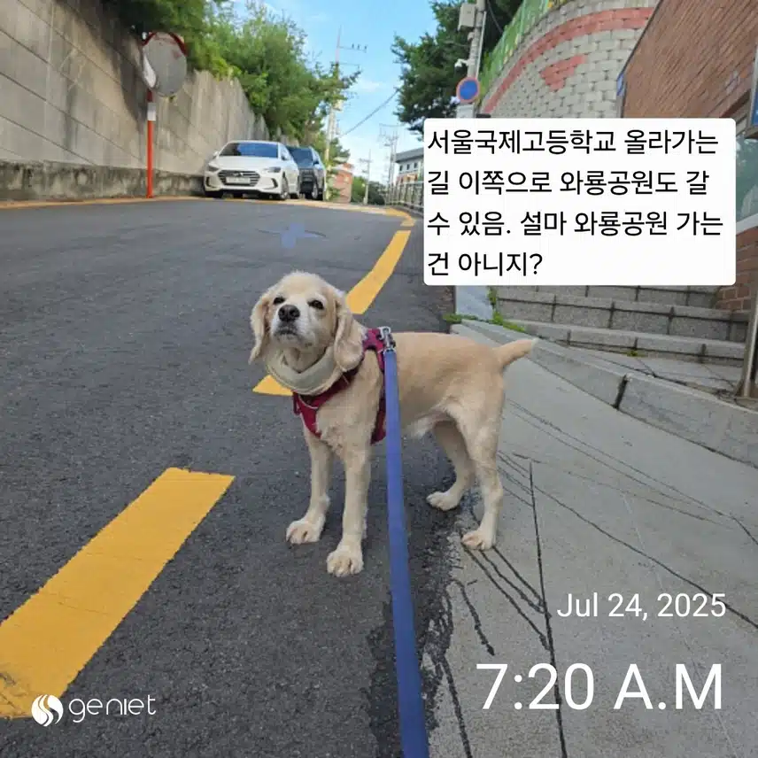 목요일 아침 