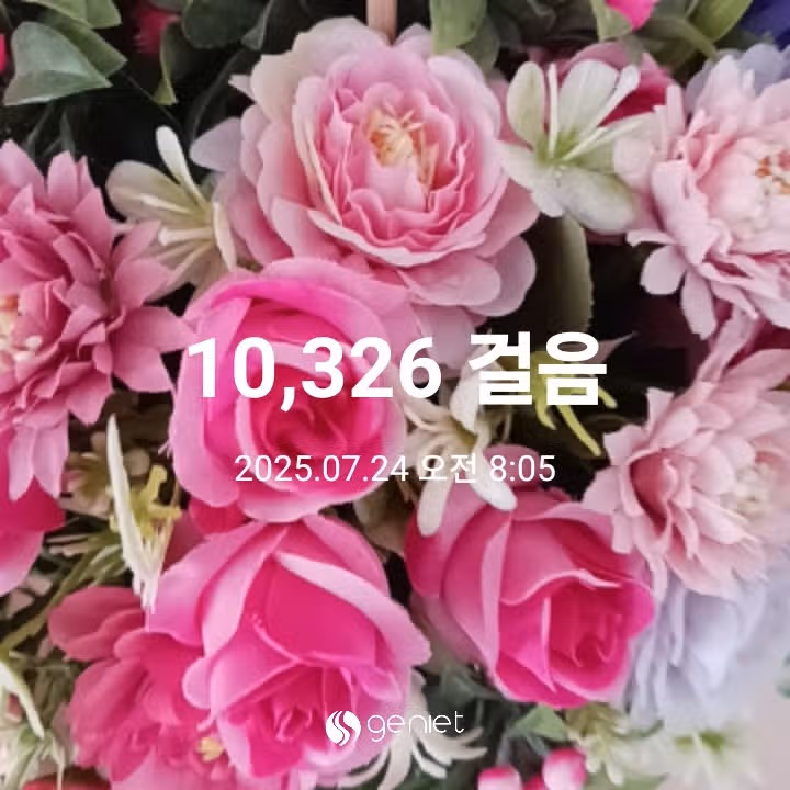 오전 운동 