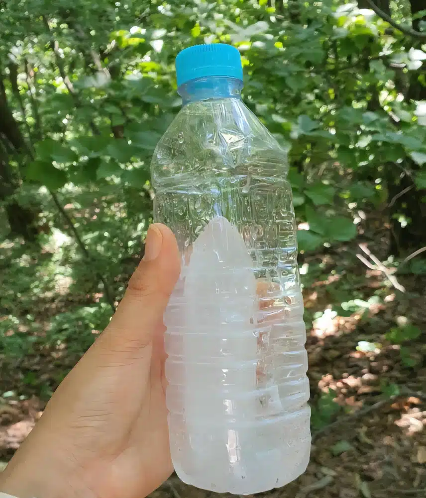 산책 중~