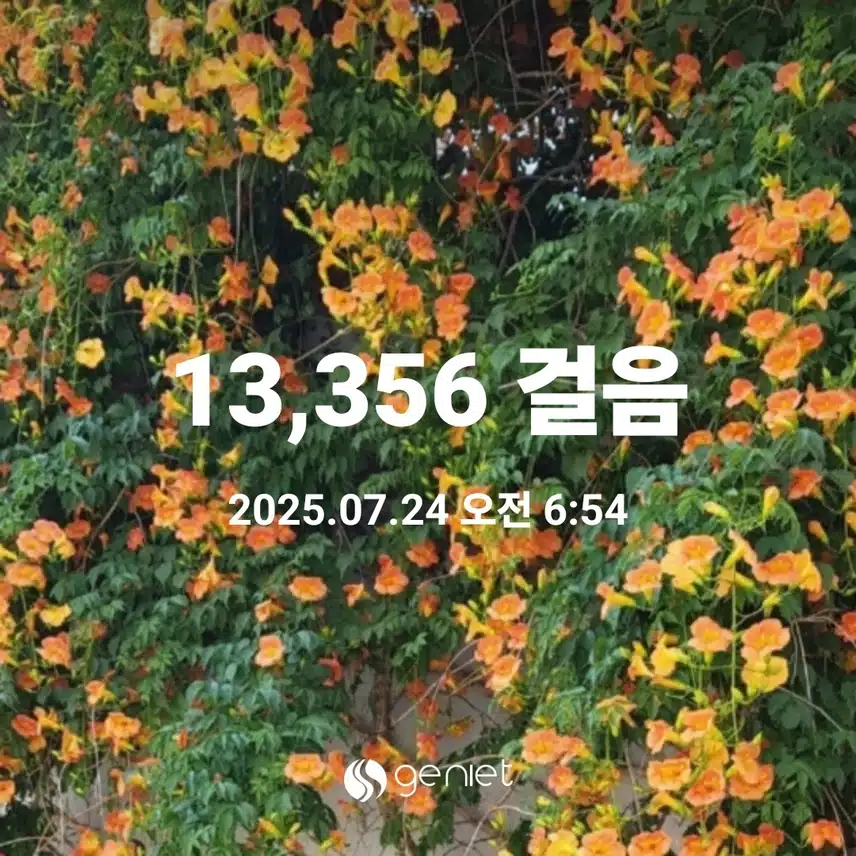   목요일에도 새벽운동 