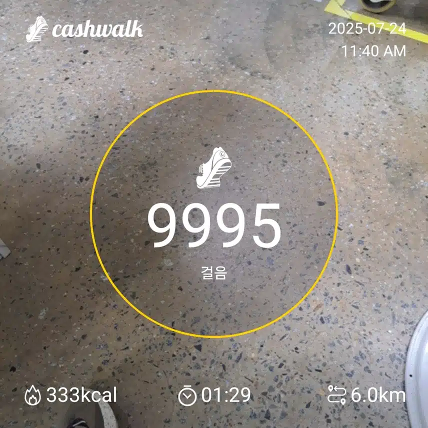 인증 