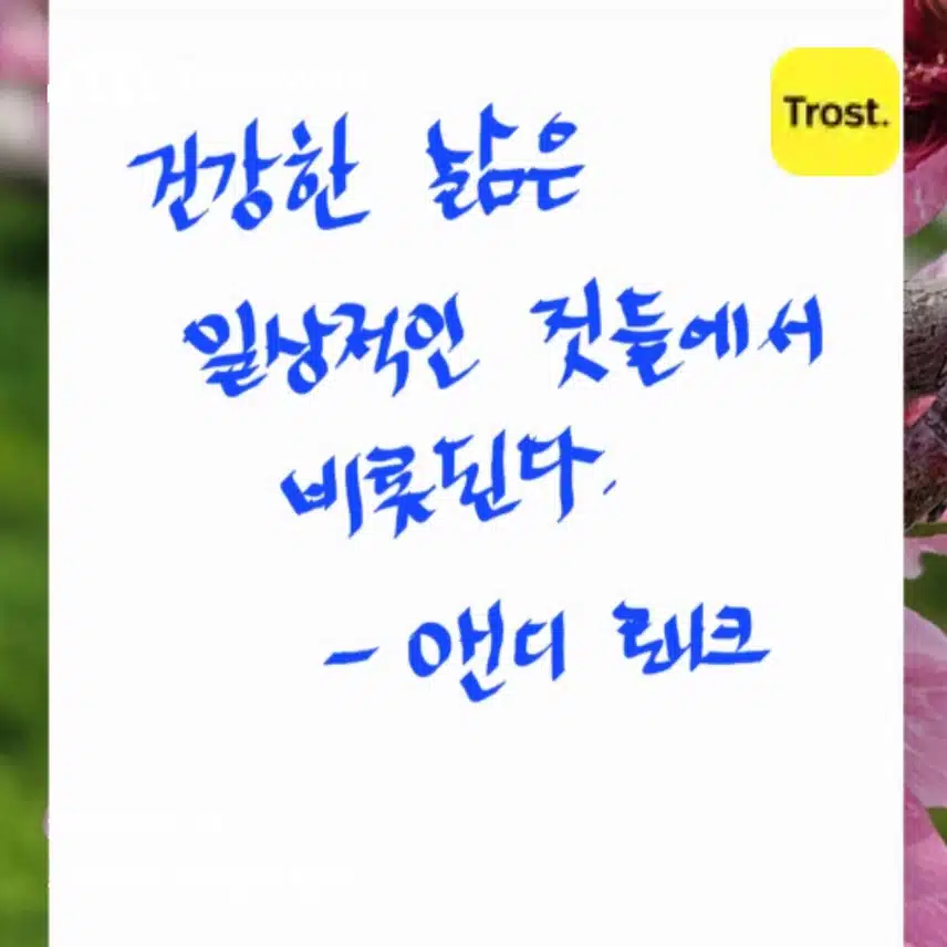 명언필사