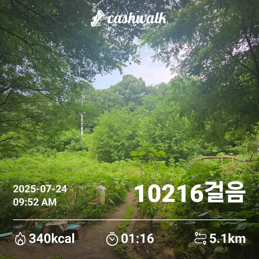 인증