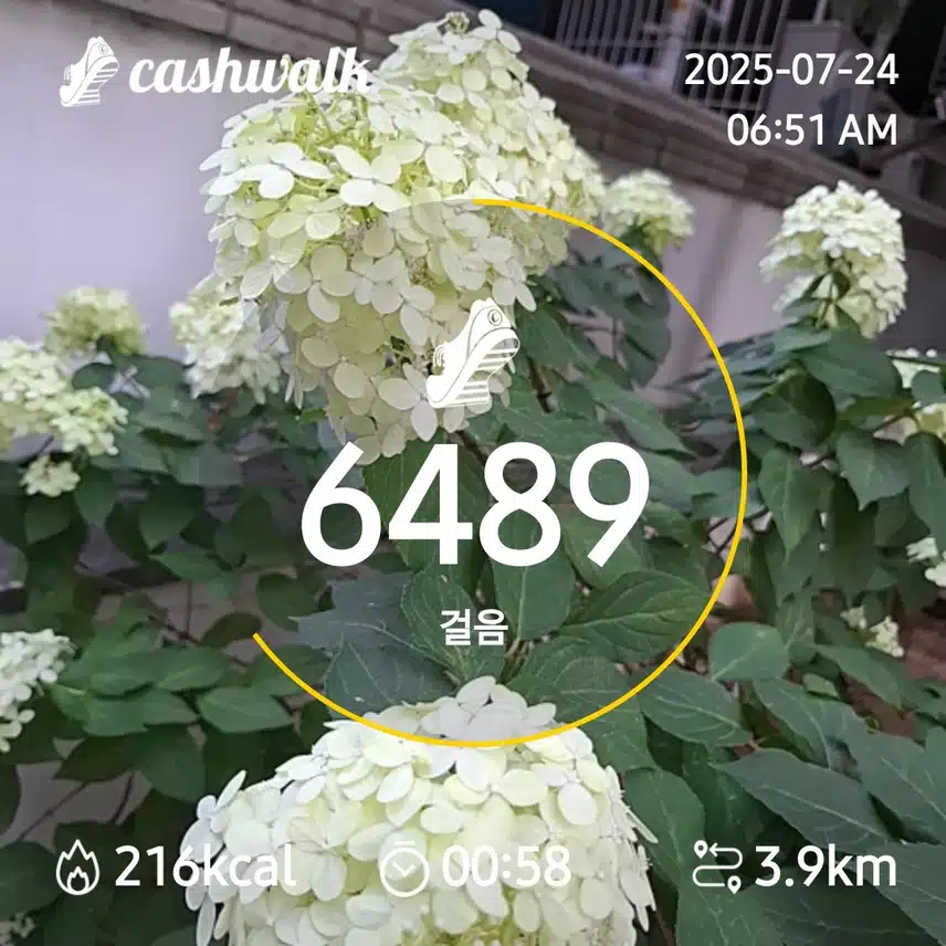 6000. 보 걷기