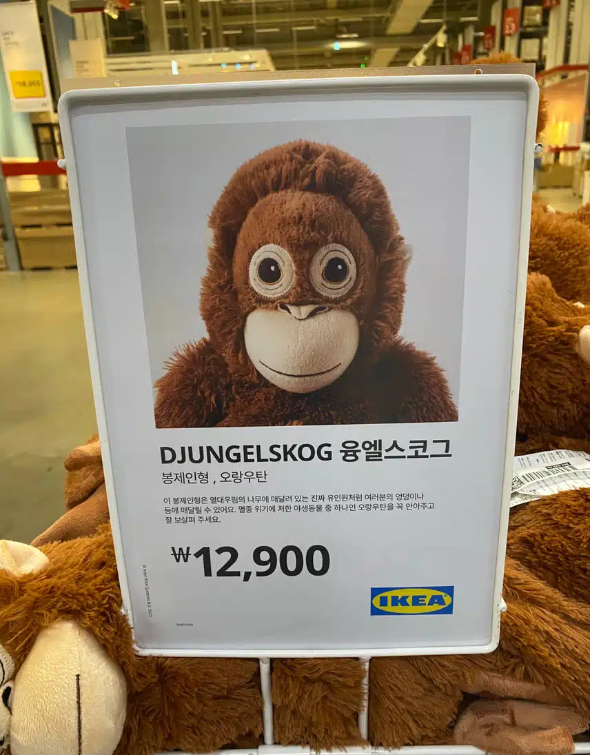 이케아에서 밥 먹고 왔어요~