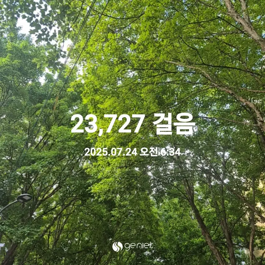 2025년 7월 24일 걷기