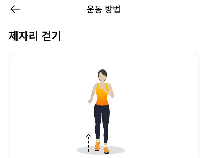(캐시홈트) 초보도 쉽게 따라할수 있는 점핑운동 