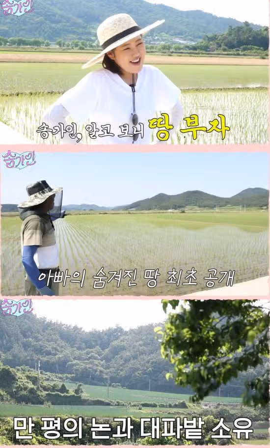 총 1만평에 가까운 논과 밭을 소유중인 가인님 아버지