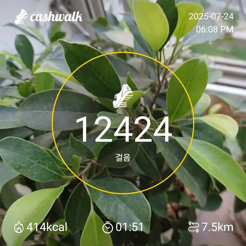 인증 