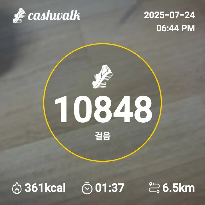 사슴 