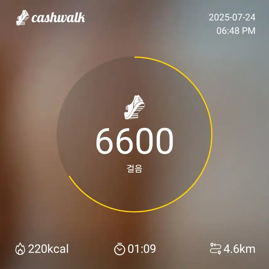 인증