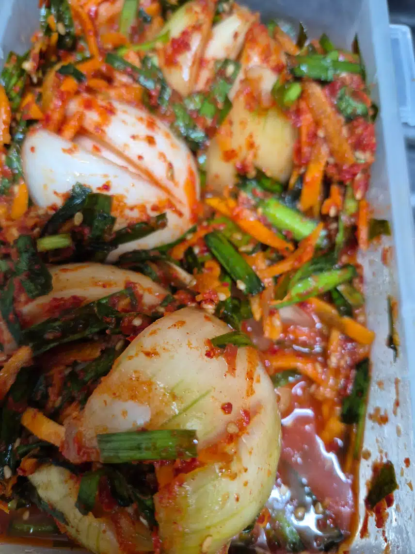 양파김치