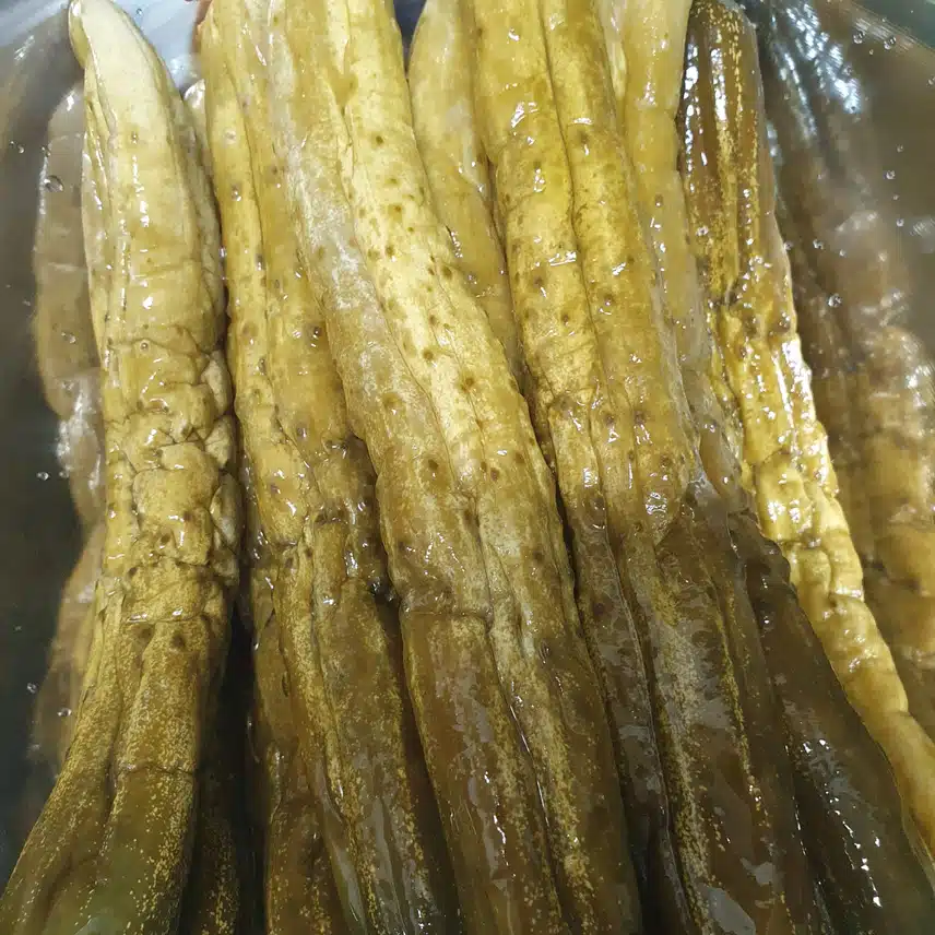 오이지무침