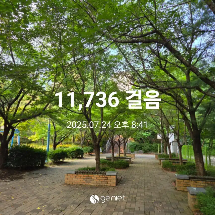 만천걸음 걸었습니다 
