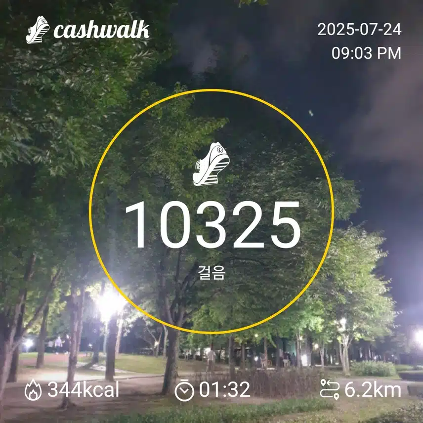 굿밤