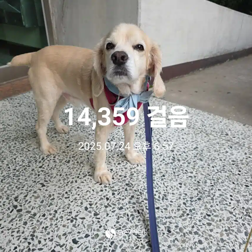목요일 마무리 
