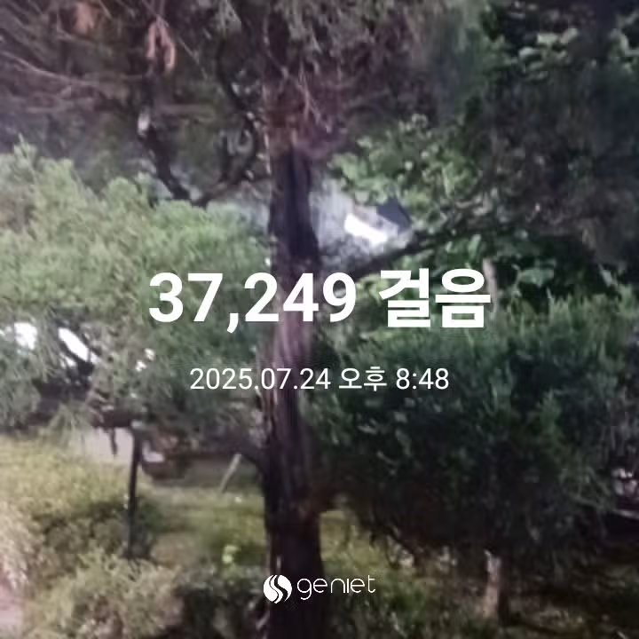 삼만보 걷기 
