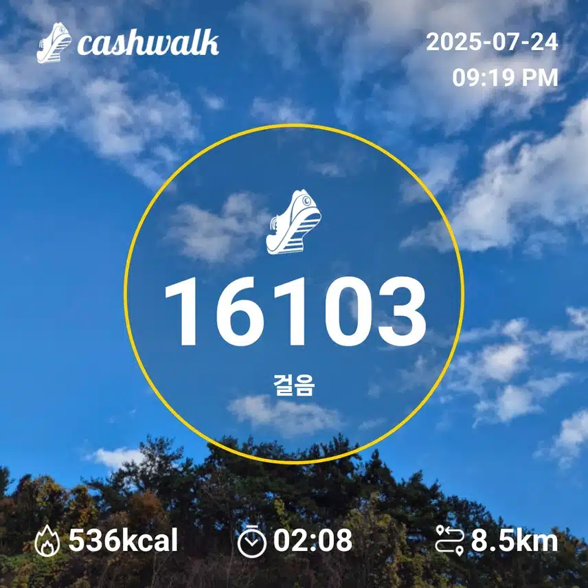 만보인증