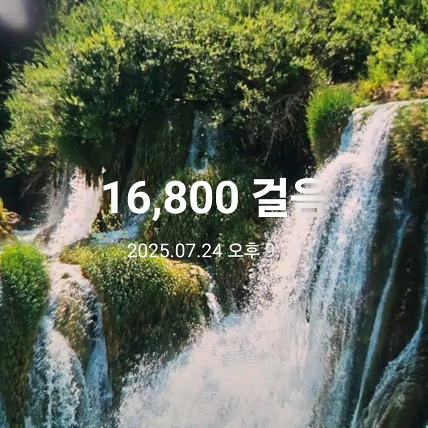 오늘의 걸음 🏃