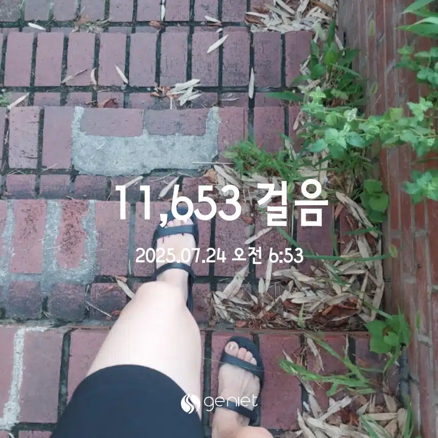 만보걷기 