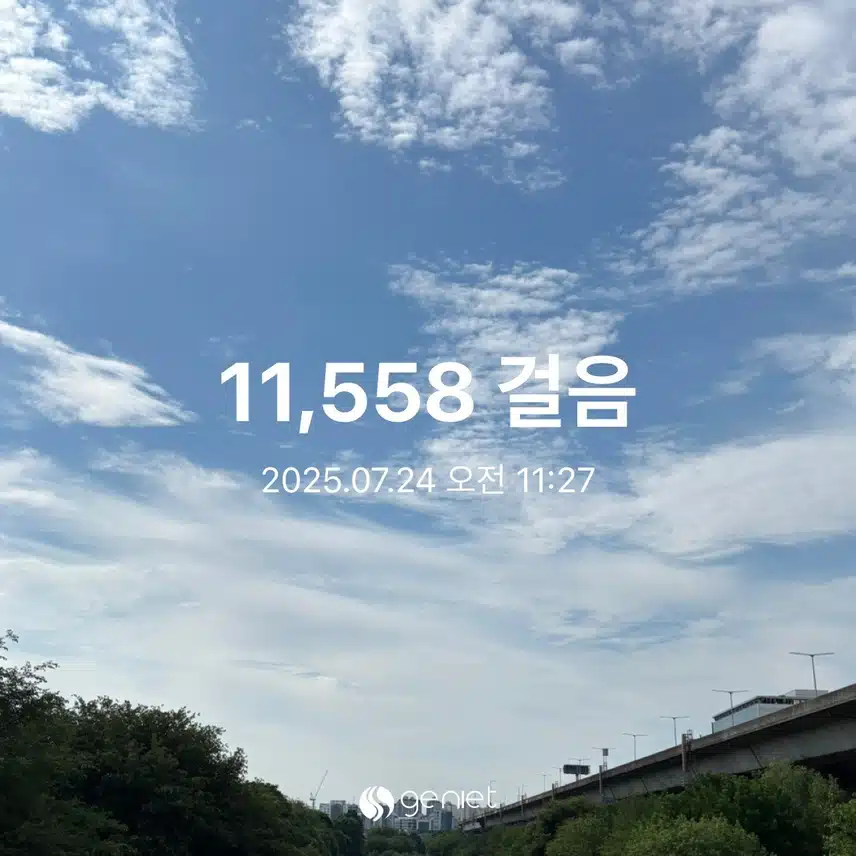 만보걷기 완료