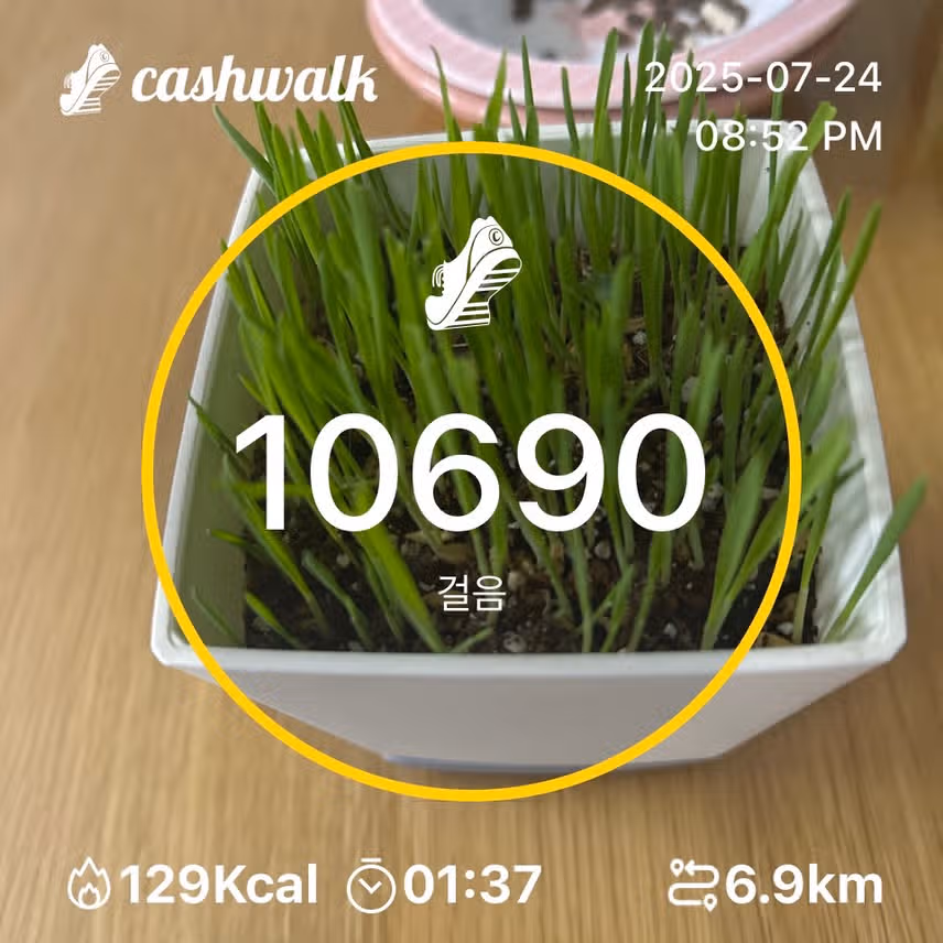 인증