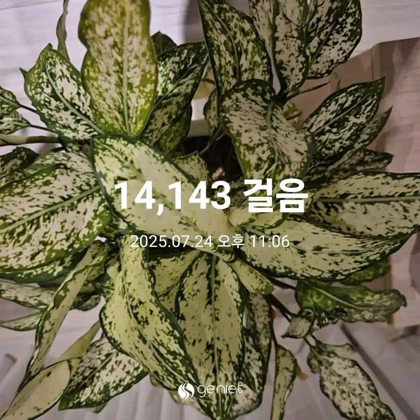 건강한 걸음 성공~