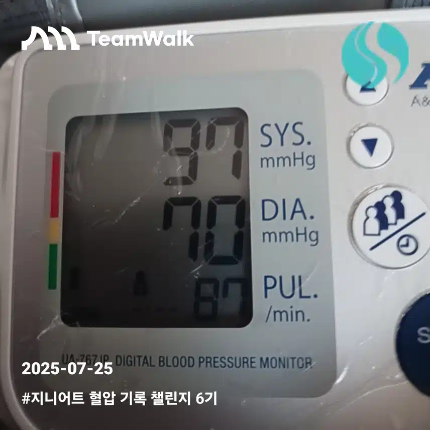 혈압5일차인증