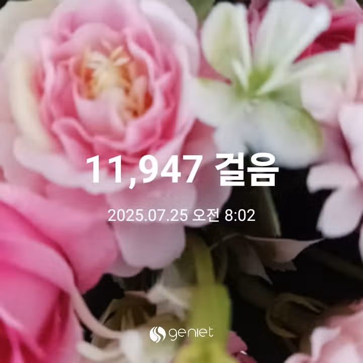 오전 운동 